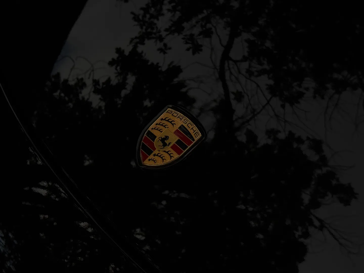 Porsche 911 Carrera GTS Coupe PDK Paint Protection Film — photo 8