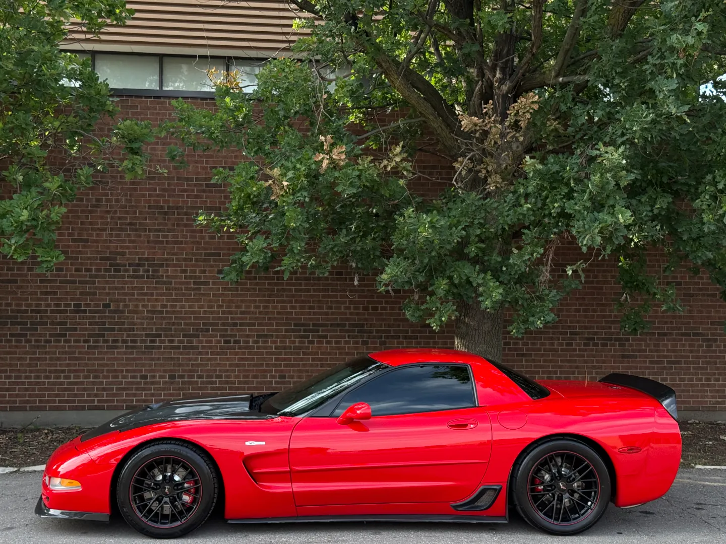 Chevrolet Corvette Z06 Supercharged — photo 12