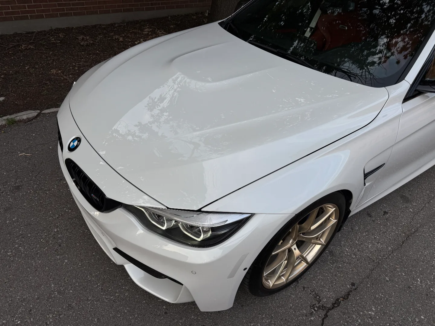 BMW M3 Competition DCT PPF + Quality Upgrades — photo 19