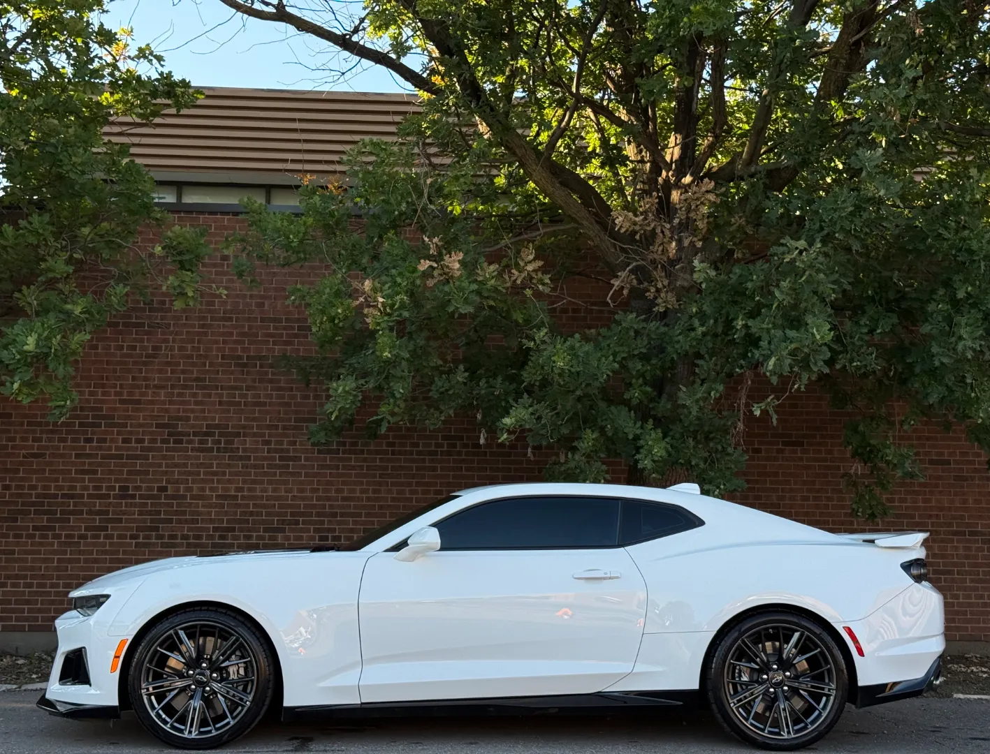 Chevrolet Camaro ZL1 Coupe 6 Speed Manual Full Body PPF — photo 11