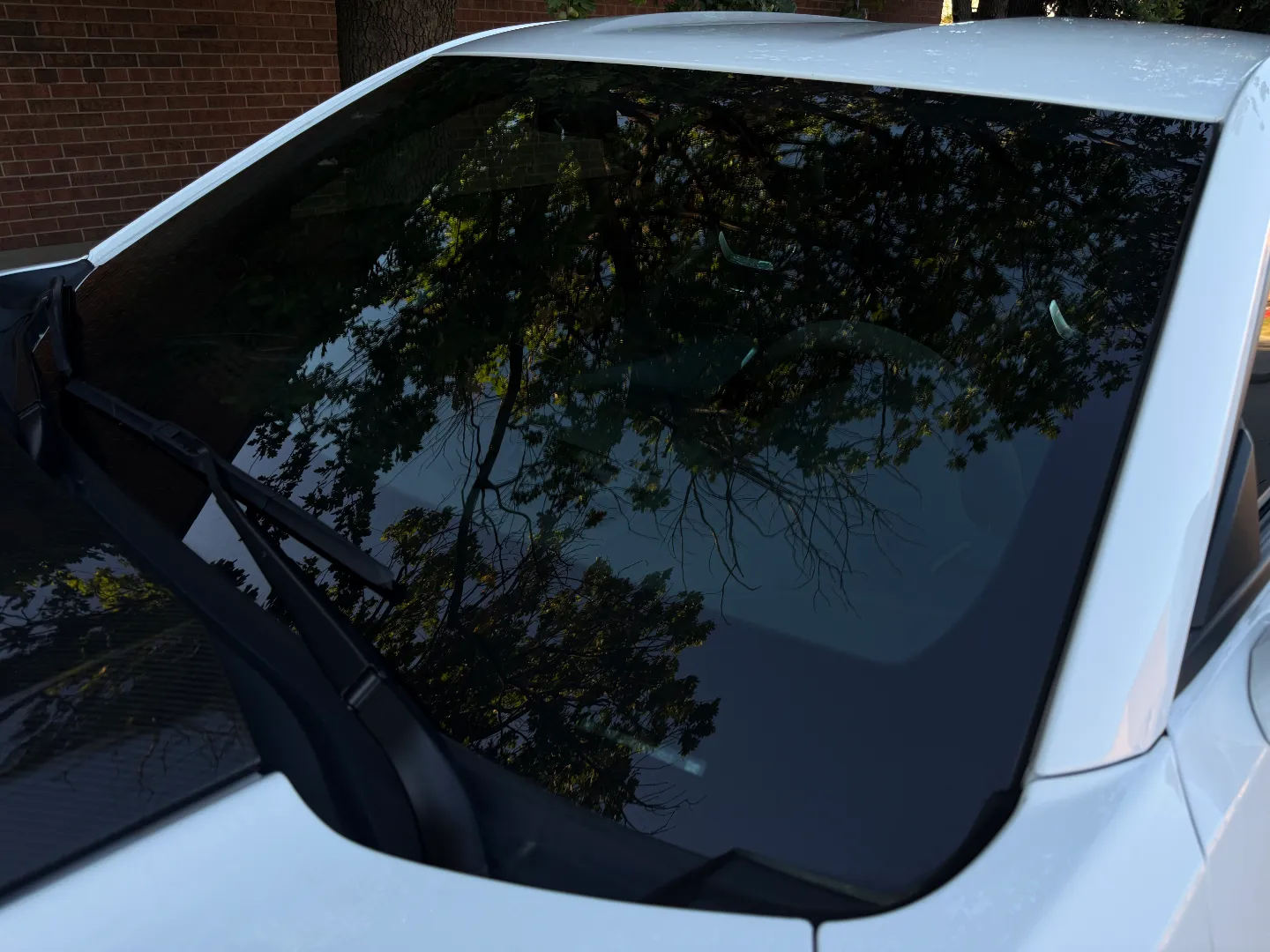 Chevrolet Camaro ZL1 Coupe 6 Speed Manual Full Body PPF — photo 19
