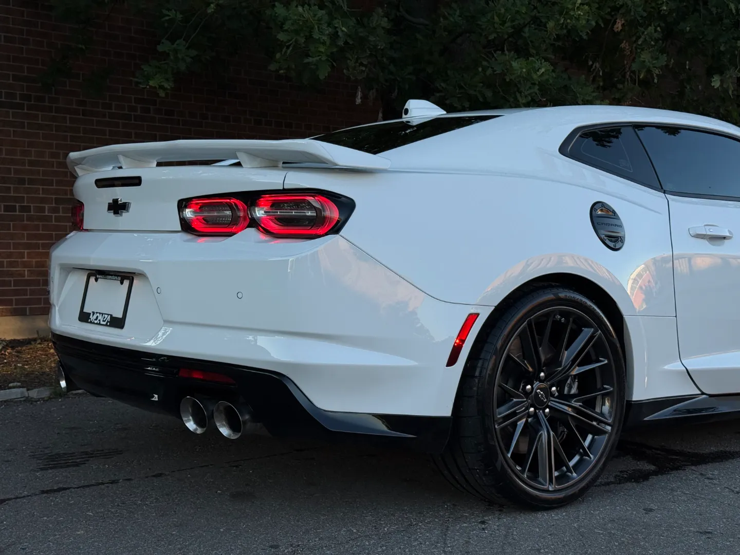 Chevrolet Camaro ZL1 Coupe 6 Speed Manual Full Body PPF — photo 88