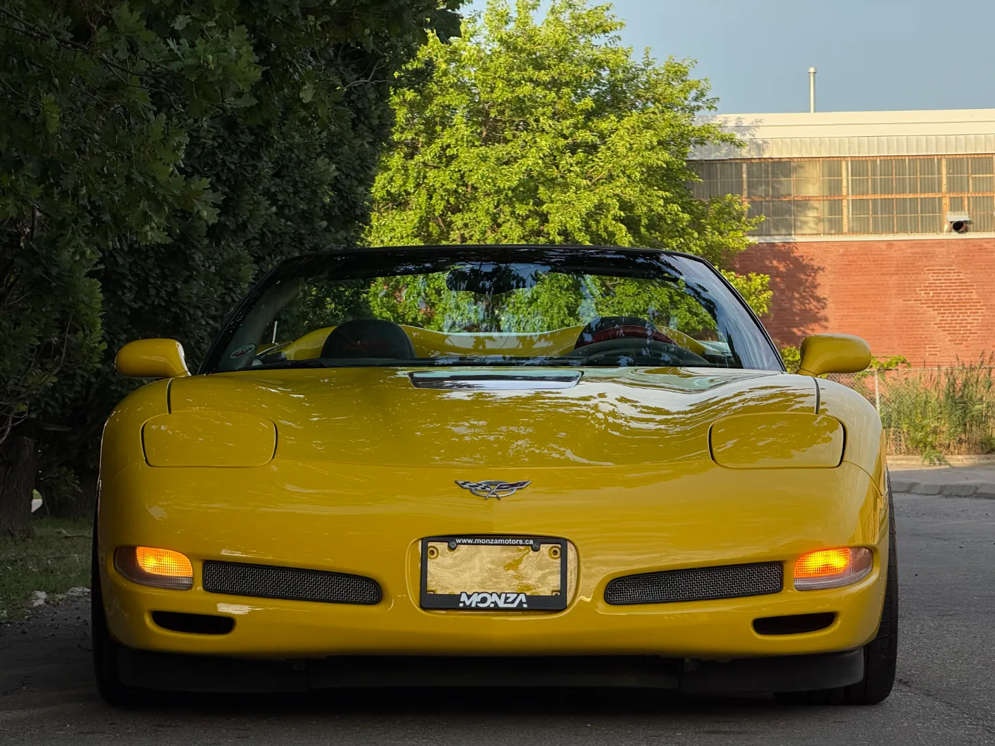 Chevrolet Corvette Z06 Caravaggio Convertible Conversion 6 Speed Manual — photo 5
