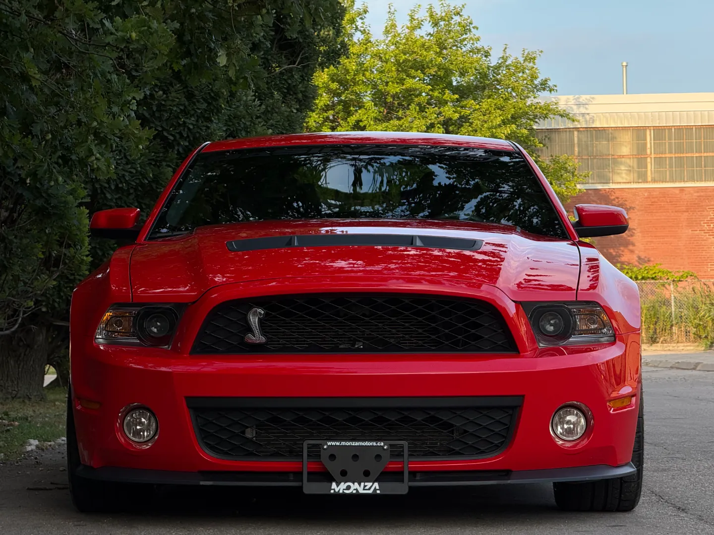 Ford Mustang Shelby GT500 6 Speed Manual Coupe Built By DaSilva Racing — photo 5