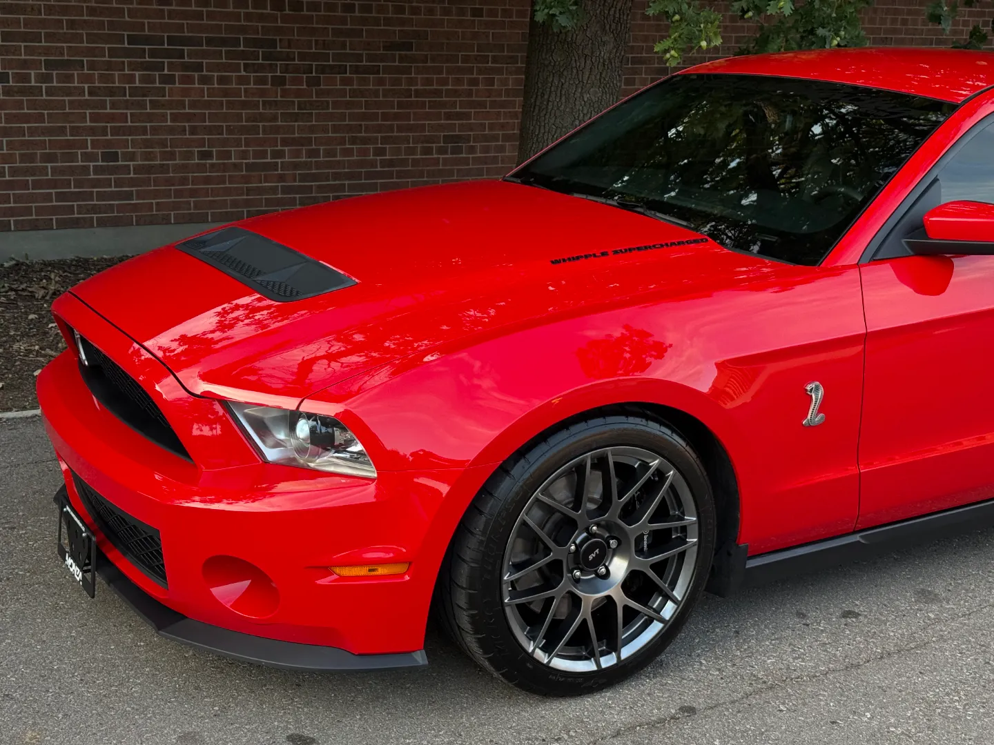 Ford Mustang Shelby GT500 6 Speed Manual Coupe Built By DaSilva Racing — photo 6