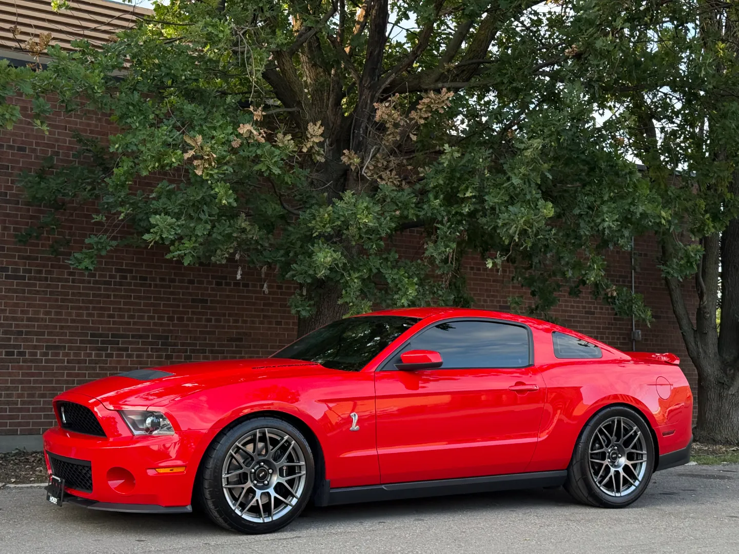Ford Mustang Shelby GT500 6 Speed Manual Coupe Built By DaSilva Racing — photo 9