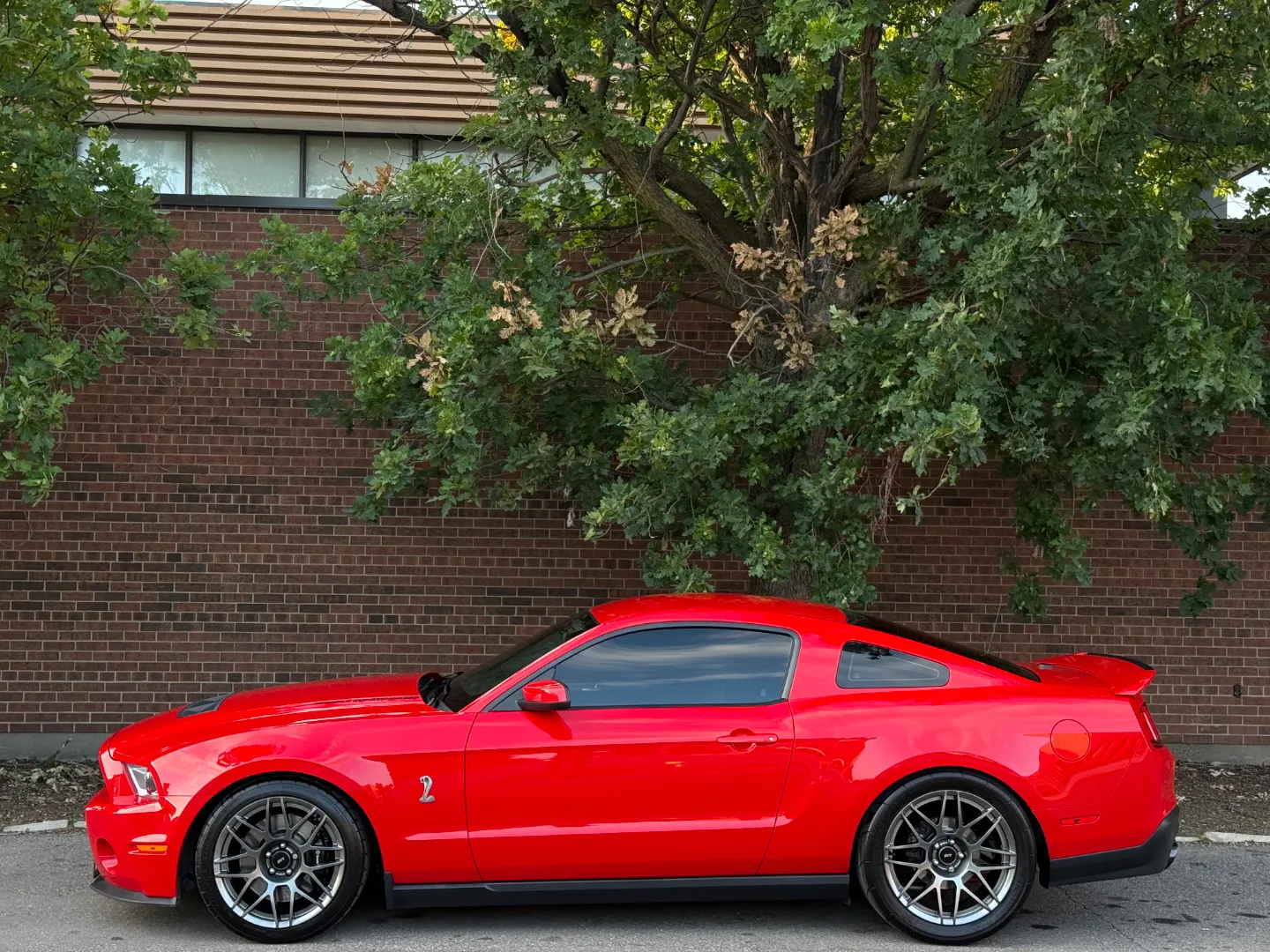 Ford Mustang Shelby GT500 6 Speed Manual Coupe Built By DaSilva Racing — photo 10