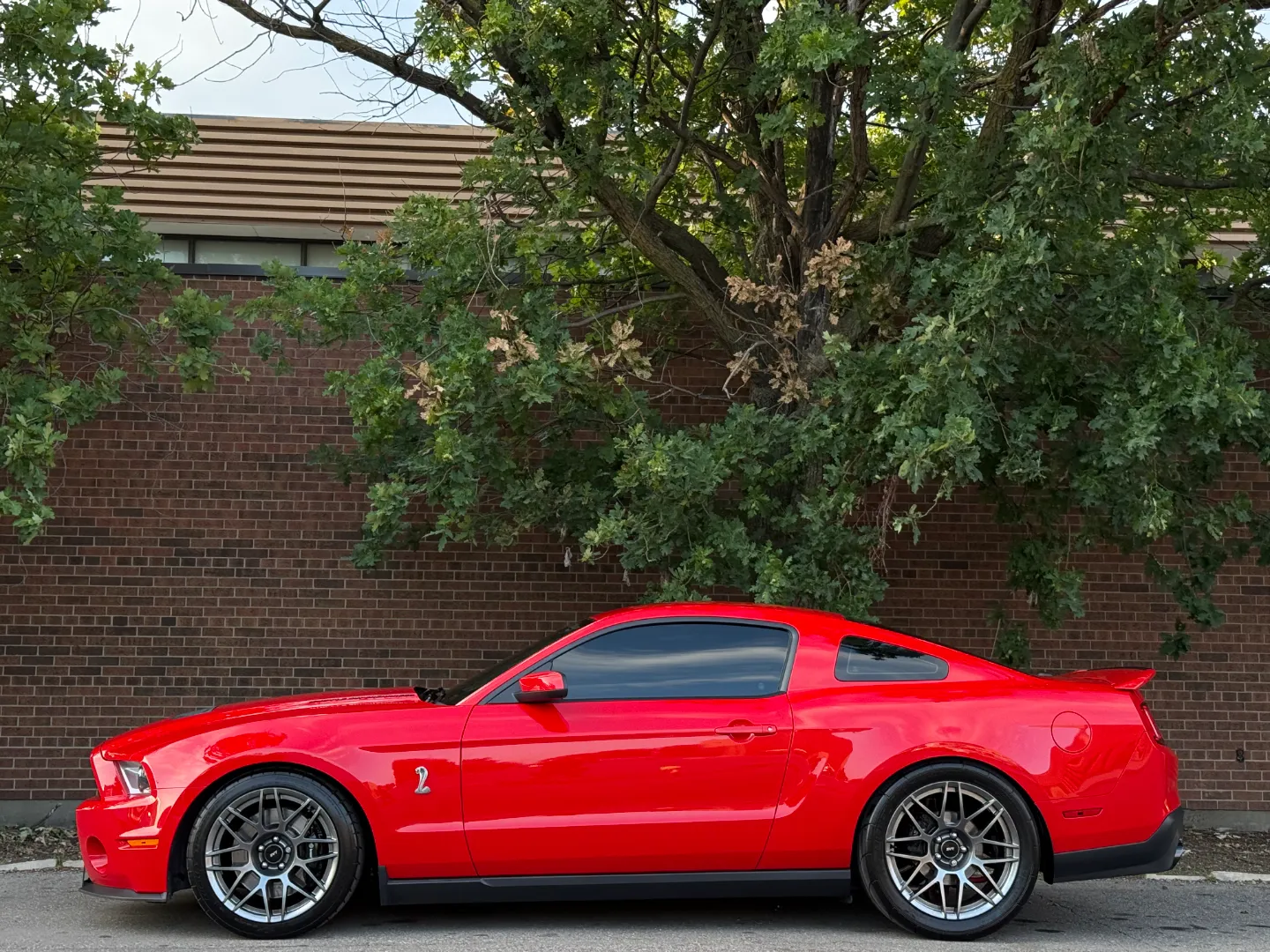 Ford Mustang Shelby GT500 6 Speed Manual Coupe Built By DaSilva Racing — photo 11