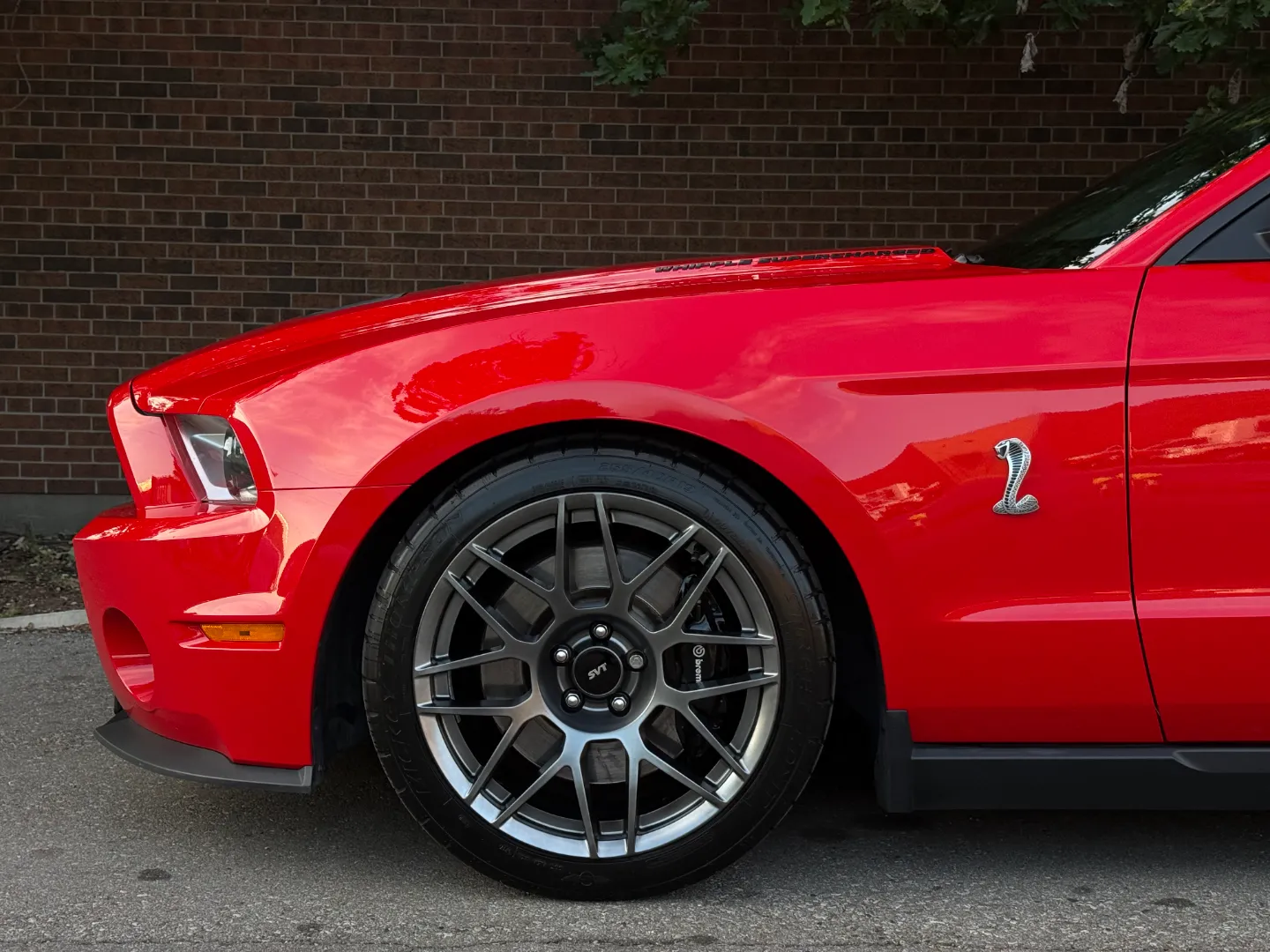Ford Mustang Shelby GT500 6 Speed Manual Coupe Built By DaSilva Racing — photo 12