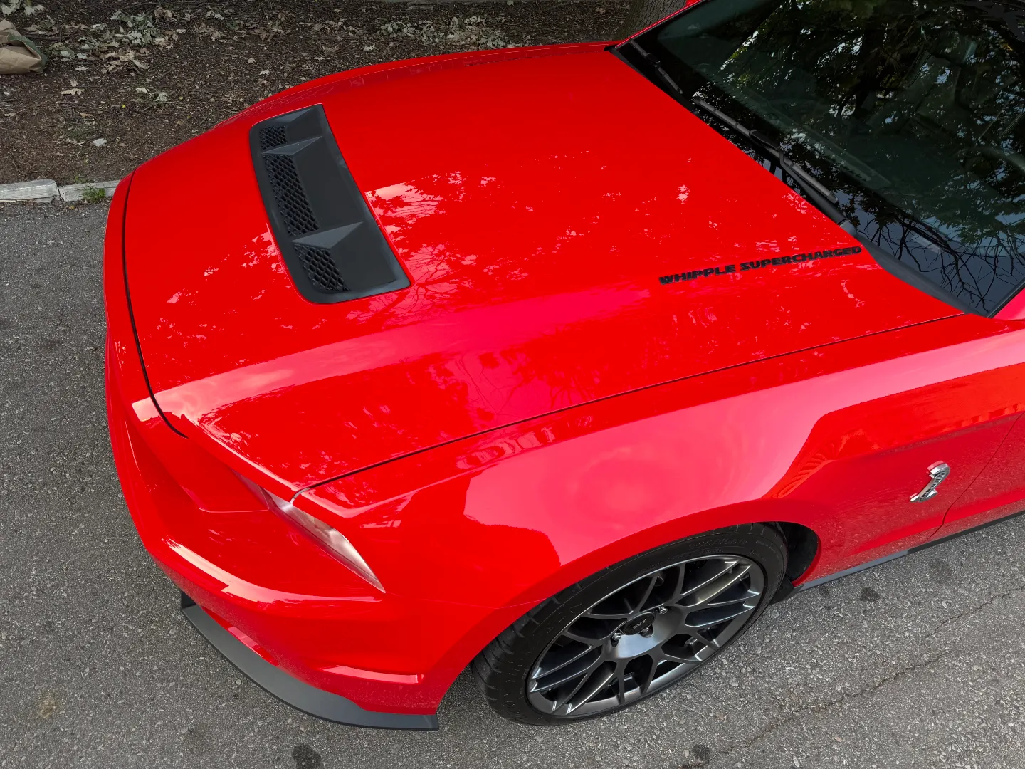 Ford Mustang Shelby GT500 6 Speed Manual Coupe Built By DaSilva Racing — photo 17
