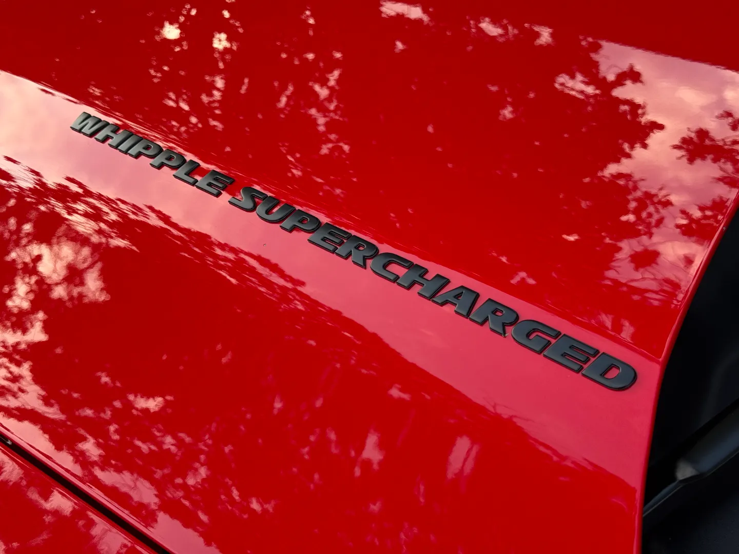 Ford Mustang Shelby GT500 6 Speed Manual Coupe Built By DaSilva Racing — photo 18