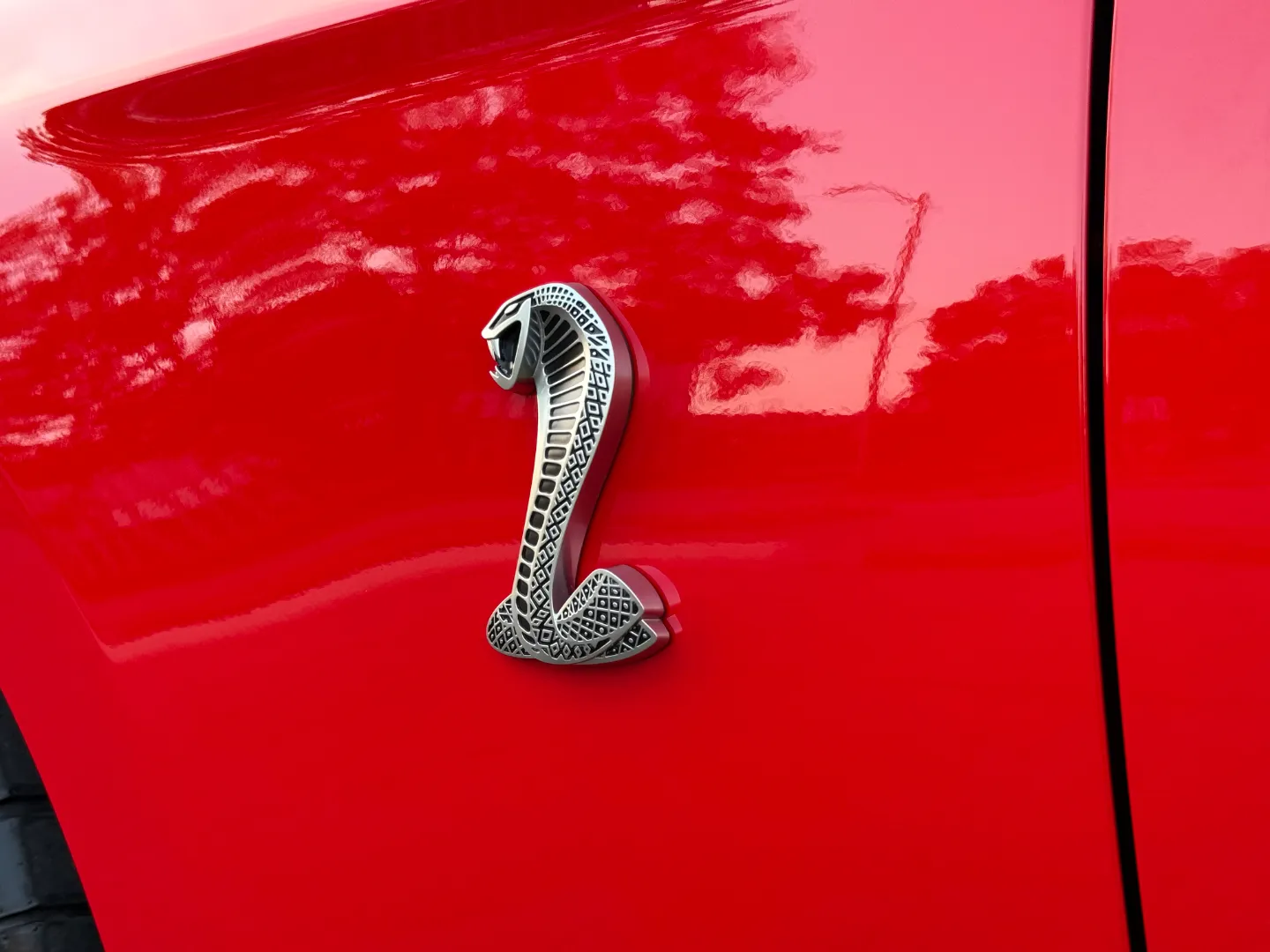 Ford Mustang Shelby GT500 6 Speed Manual Coupe Built By DaSilva Racing — photo 20