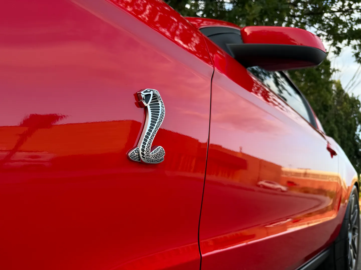 Ford Mustang Shelby GT500 6 Speed Manual Coupe Built By DaSilva Racing — photo 21