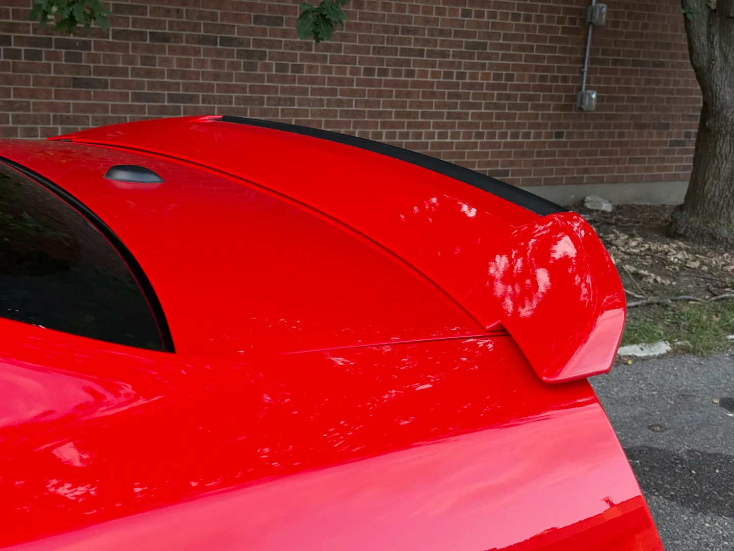 Ford Mustang Shelby GT500 6 Speed Manual Coupe Built By DaSilva Racing — photo 25