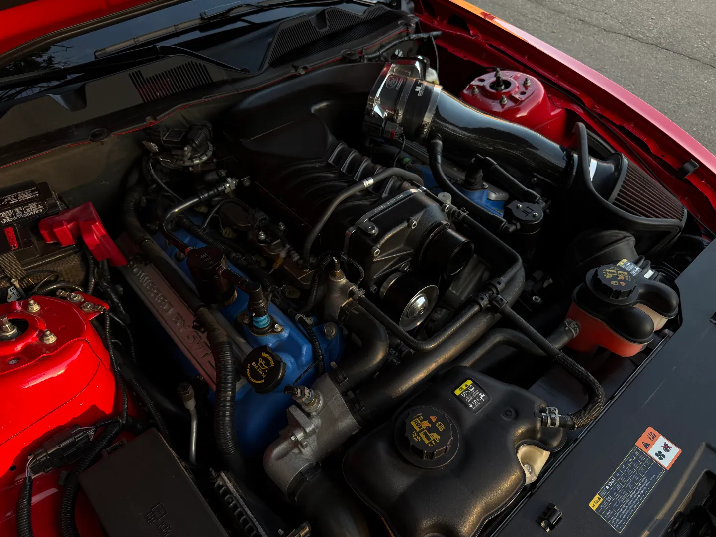 Ford Mustang Shelby GT500 6 Speed Manual Coupe Built By DaSilva Racing — photo 42