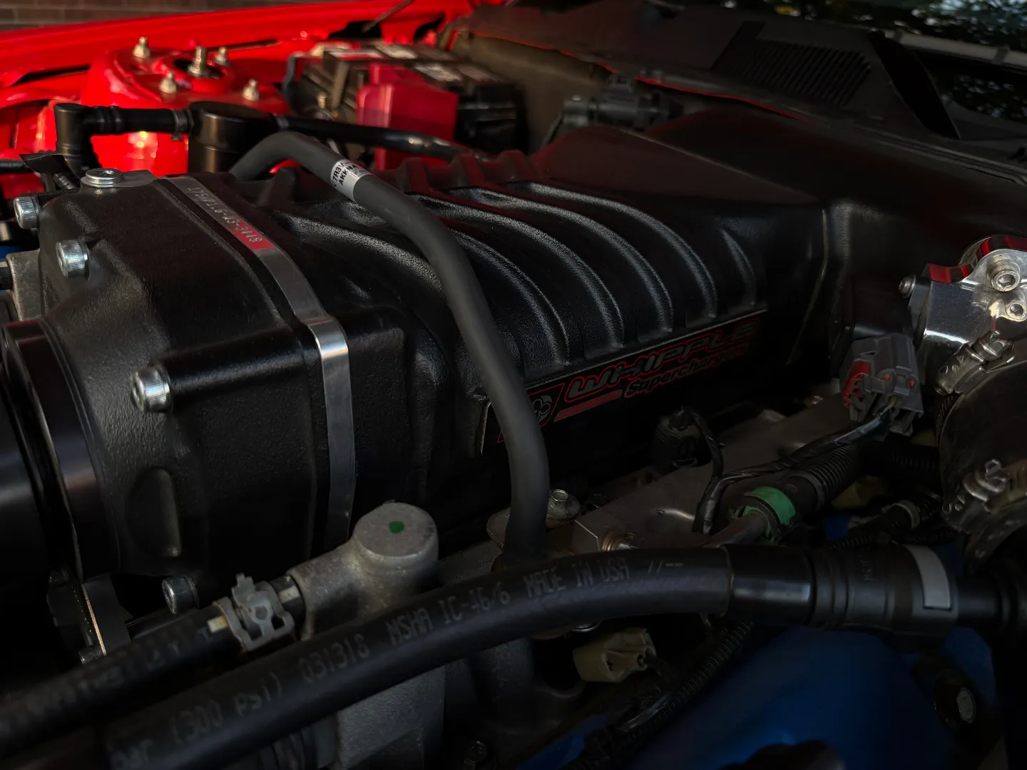 Ford Mustang Shelby GT500 6 Speed Manual Coupe Built By DaSilva Racing — photo 45