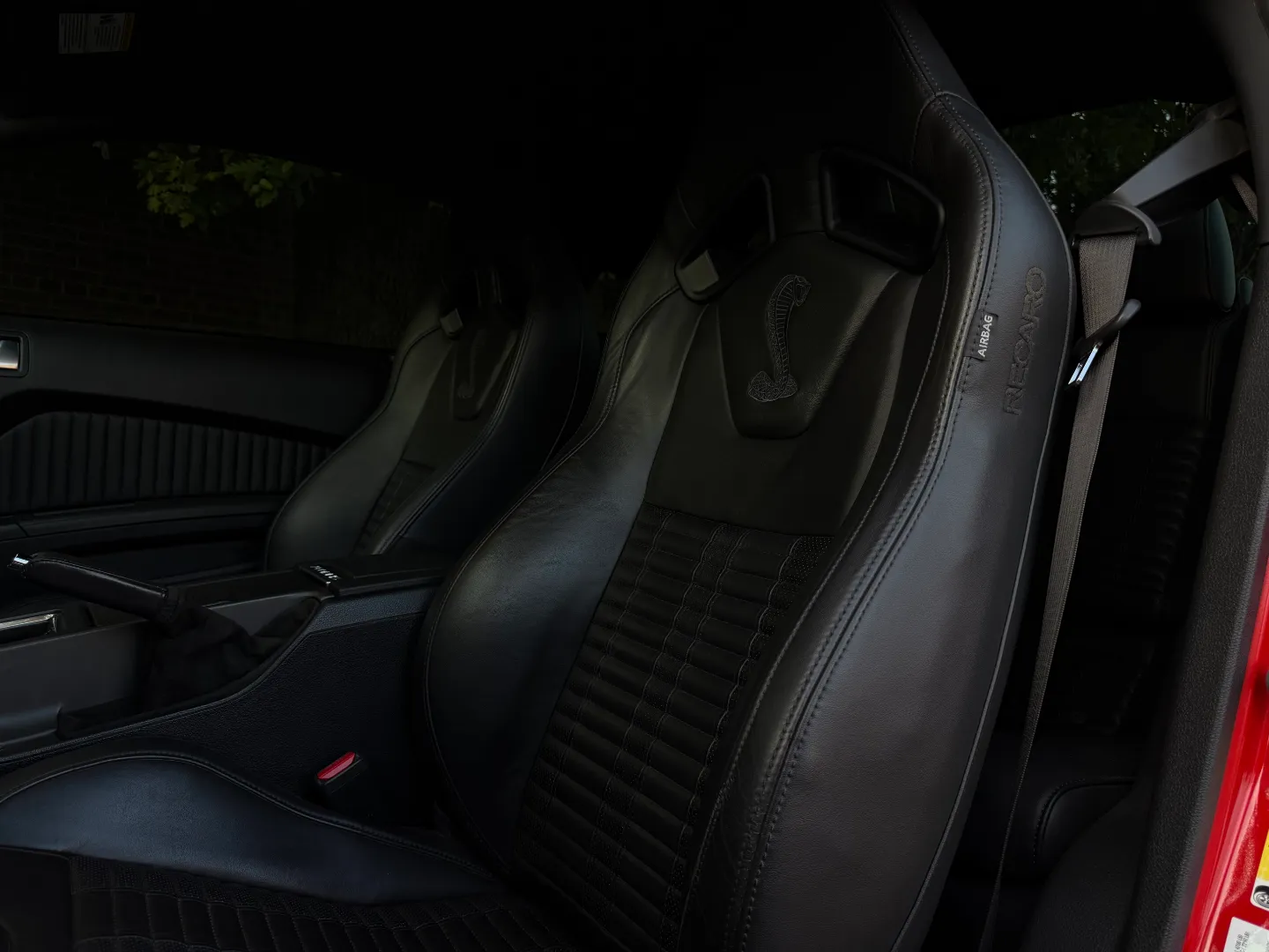 Ford Mustang Shelby GT500 6 Speed Manual Coupe Built By DaSilva Racing — photo 50