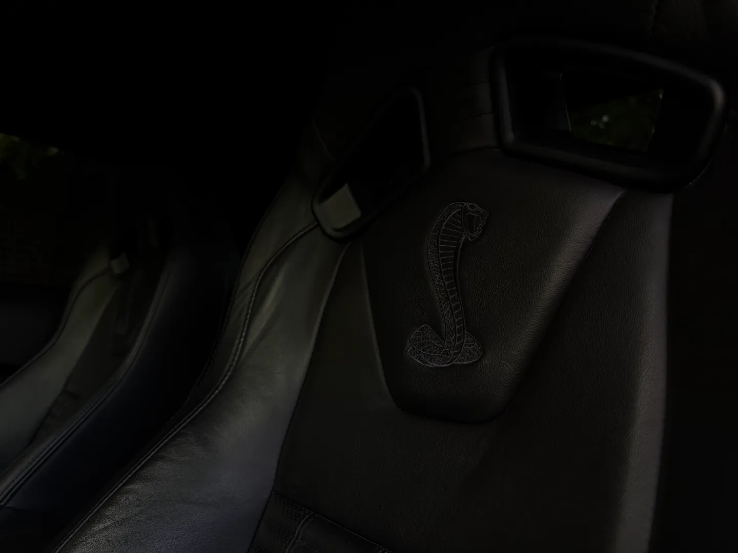 Ford Mustang Shelby GT500 6 Speed Manual Coupe Built By DaSilva Racing — photo 51