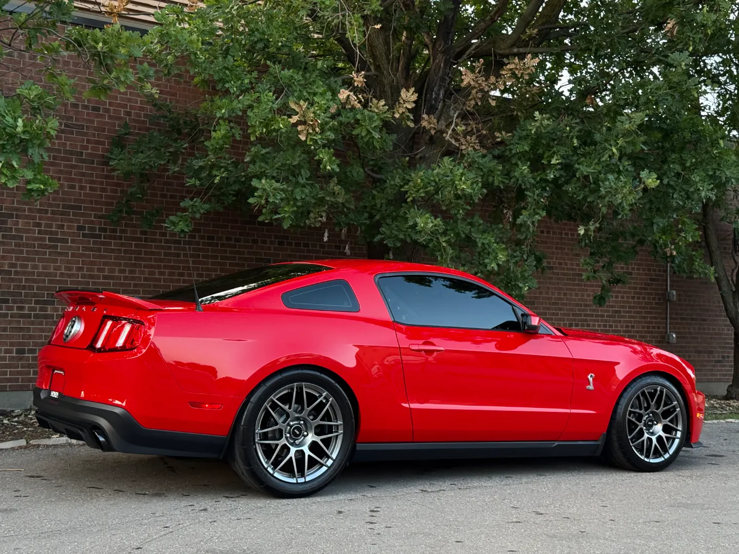 Ford Mustang Shelby GT500 6 Speed Manual Coupe Built By DaSilva Racing — photo 89