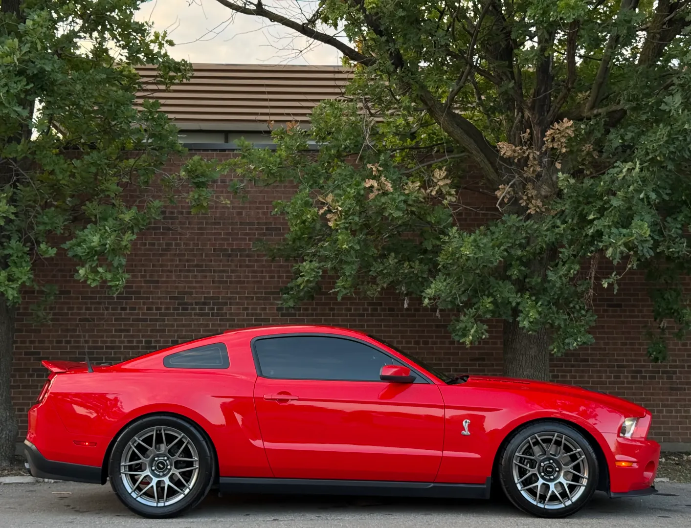 Ford Mustang Shelby GT500 6 Speed Manual Coupe Built By DaSilva Racing — photo 91