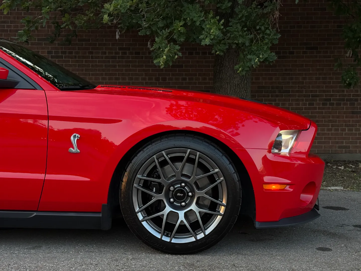 Ford Mustang Shelby GT500 6 Speed Manual Coupe Built By DaSilva Racing — photo 93