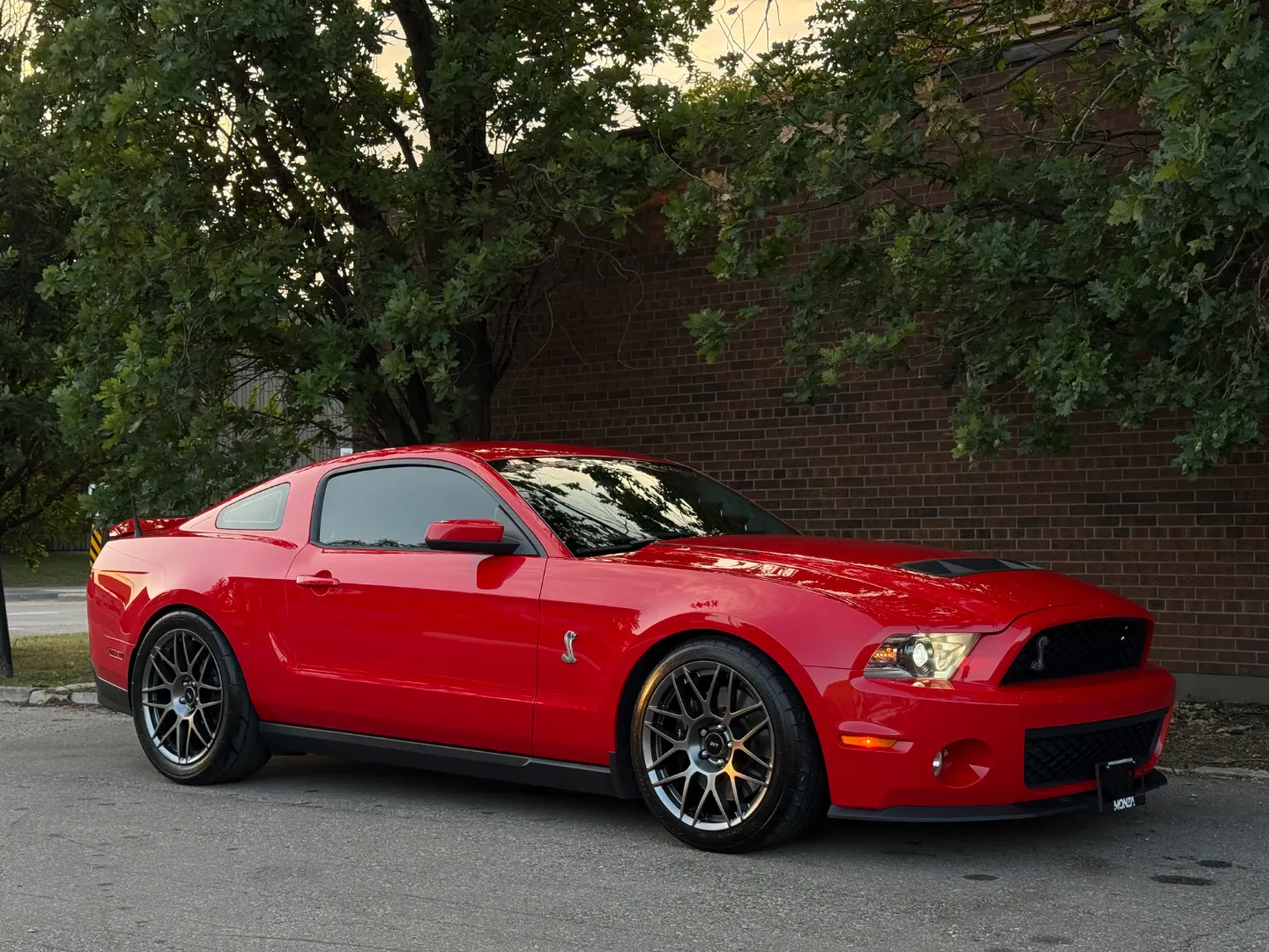 Ford Mustang Shelby GT500 6 Speed Manual Coupe Built By DaSilva Racing — photo 94