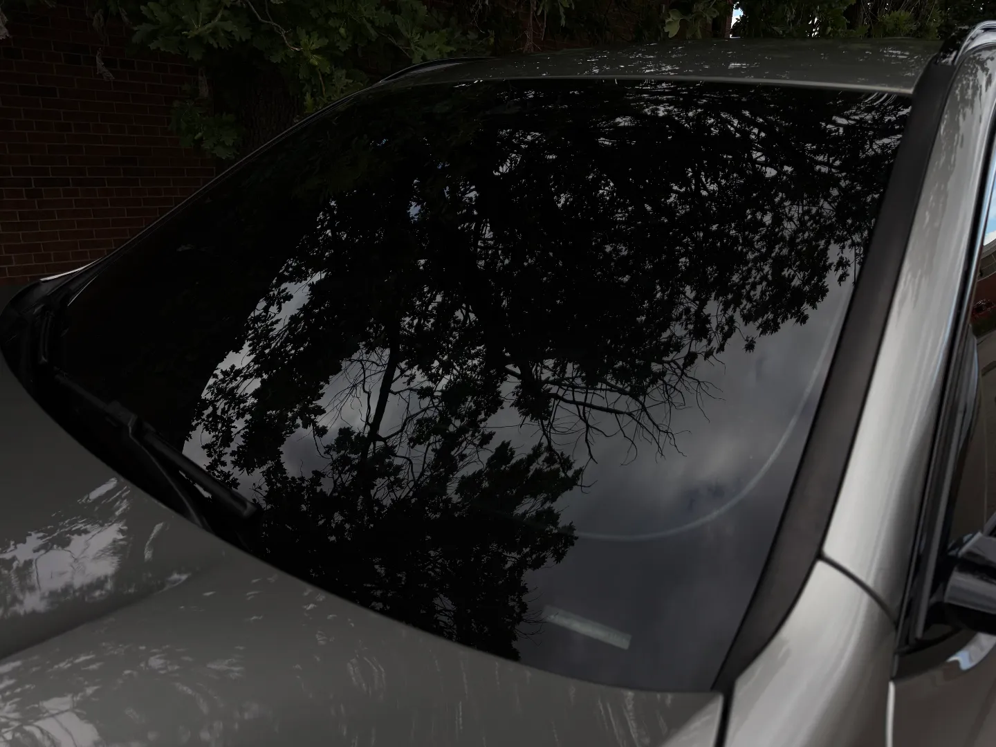BMW X3M Paint Protection Film — photo 19