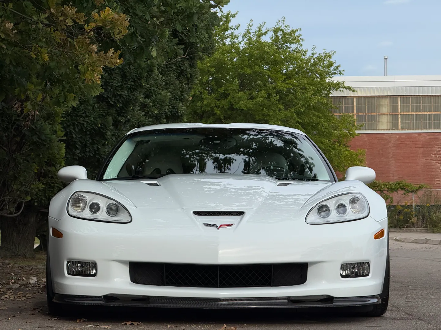 Chevrolet Corvette Z06 Built By Caravaggio Corvettes — photo 5