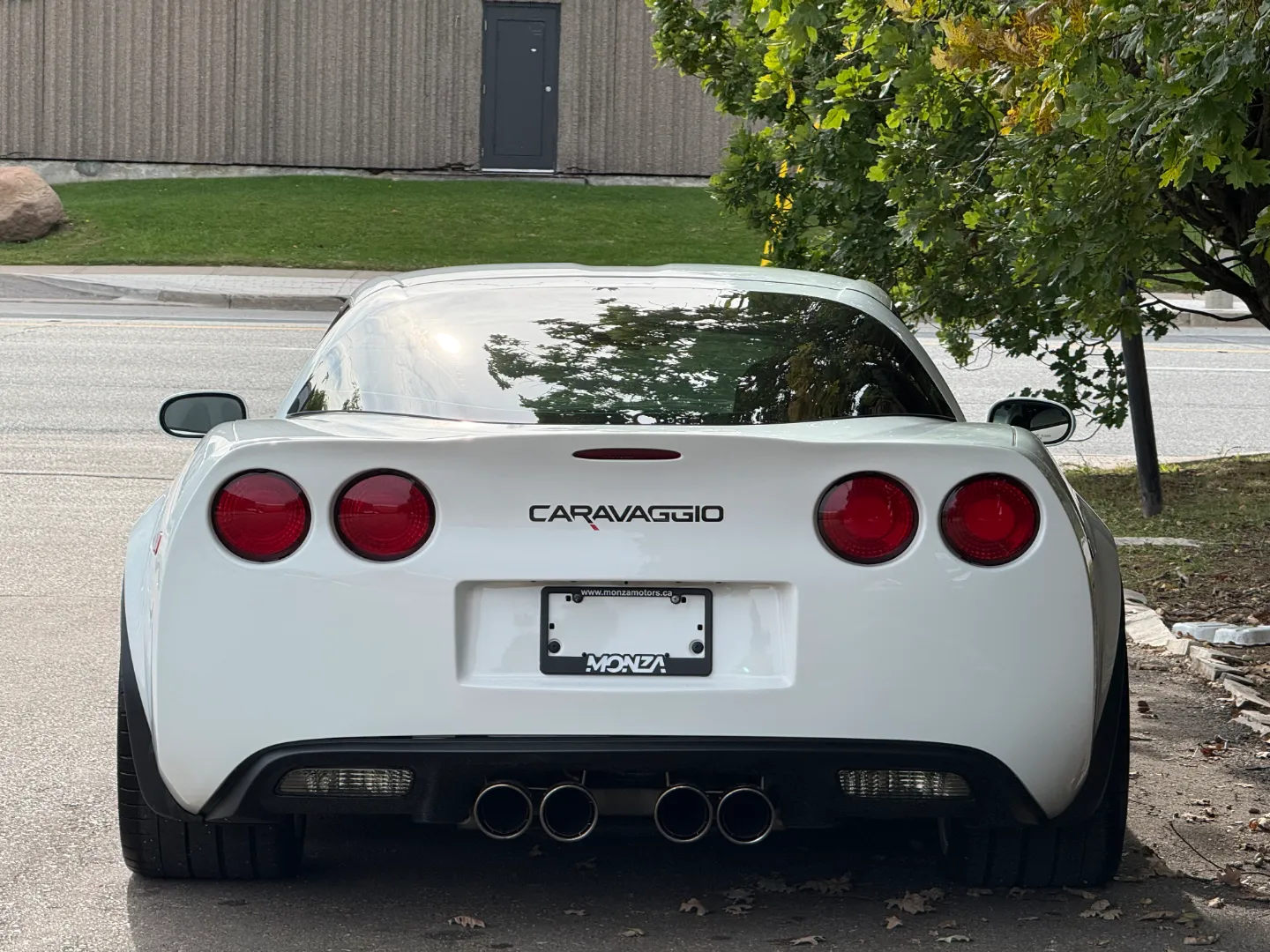 Chevrolet Corvette Z06 Built By Caravaggio Corvettes — photo 26