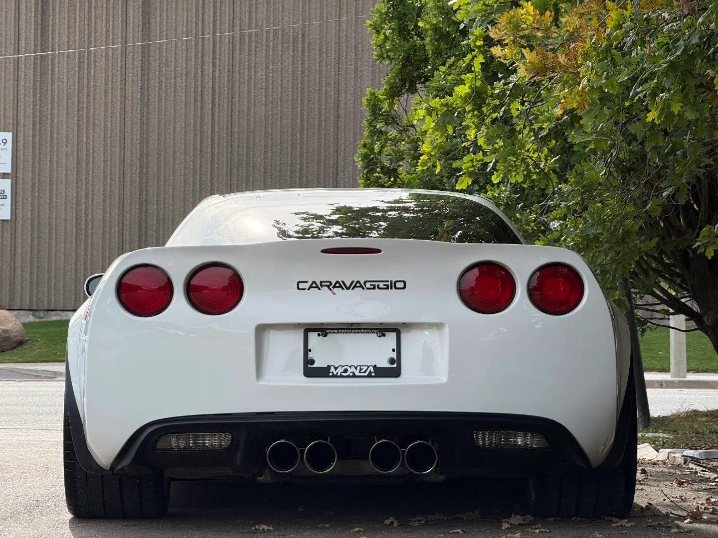 Chevrolet Corvette Z06 Built By Caravaggio Corvettes — photo 27