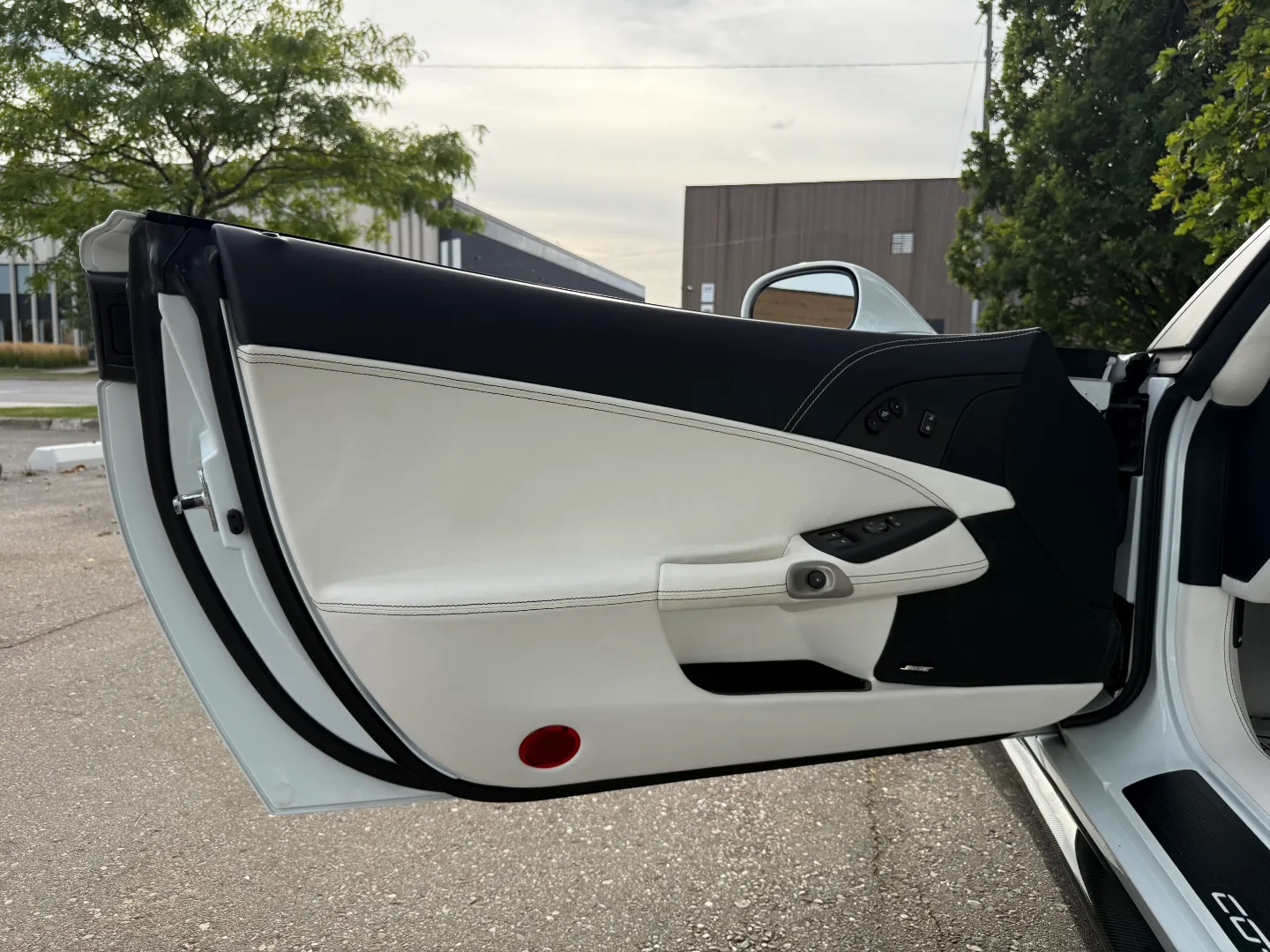 Chevrolet Corvette Z06 Built By Caravaggio Corvettes — photo 52