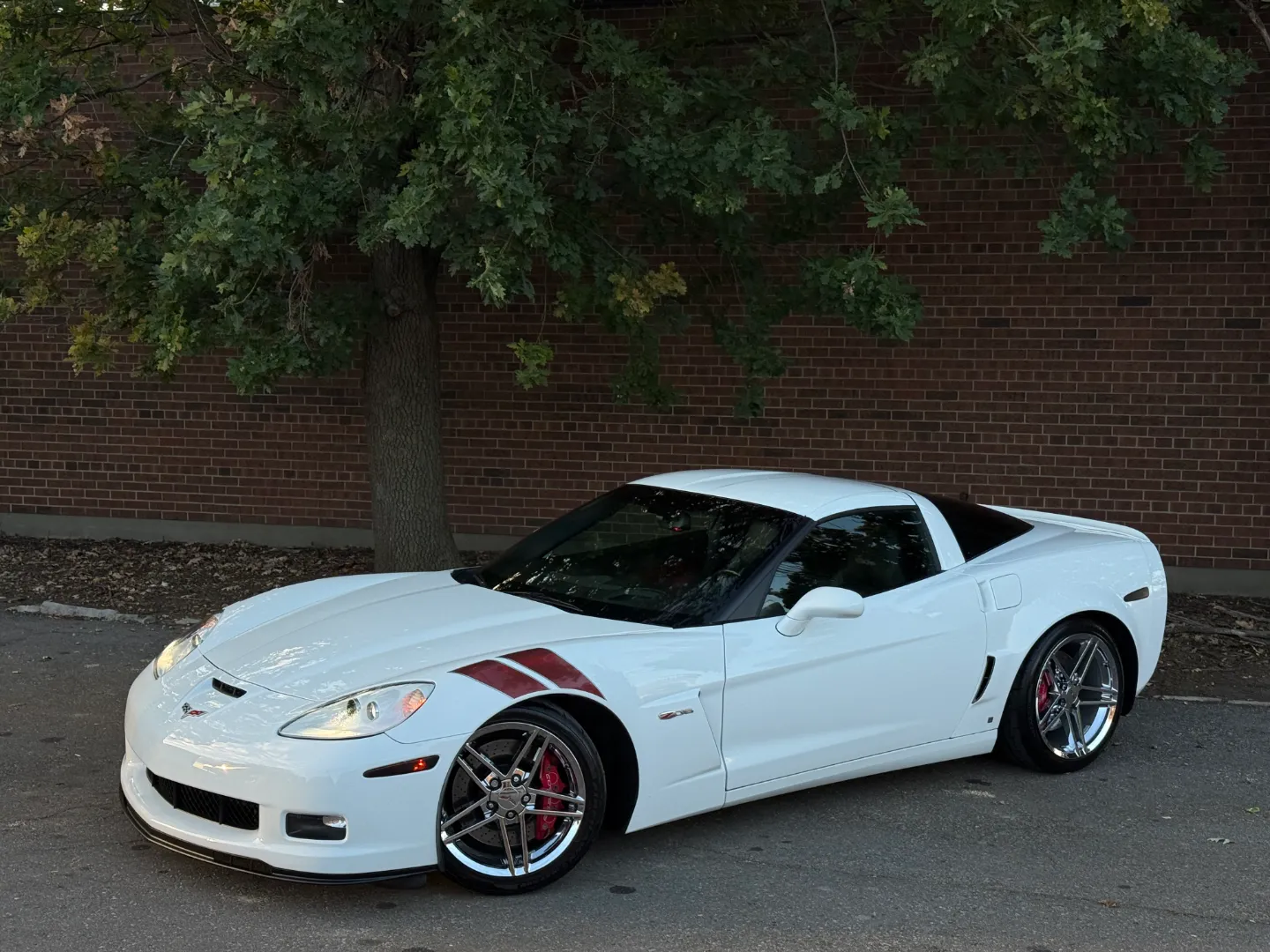 Chevrolet Corvette Z06 Ron Fellows Championship Edition 85/399 — photo 2