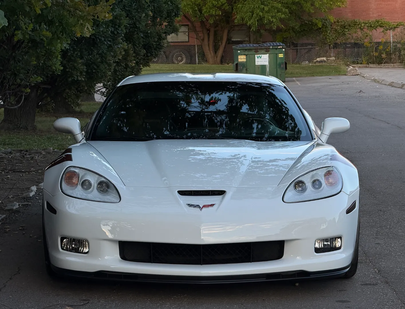 Chevrolet Corvette Z06 Ron Fellows Championship Edition 85/399 — photo 4