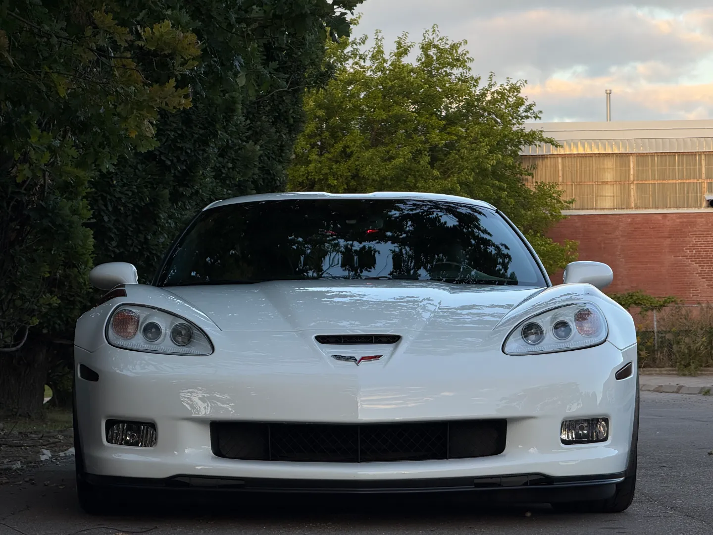 Chevrolet Corvette Z06 Ron Fellows Championship Edition 85/399 — photo 5