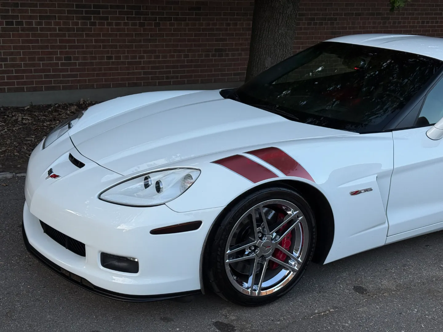 Chevrolet Corvette Z06 Ron Fellows Championship Edition 85/399 — photo 6