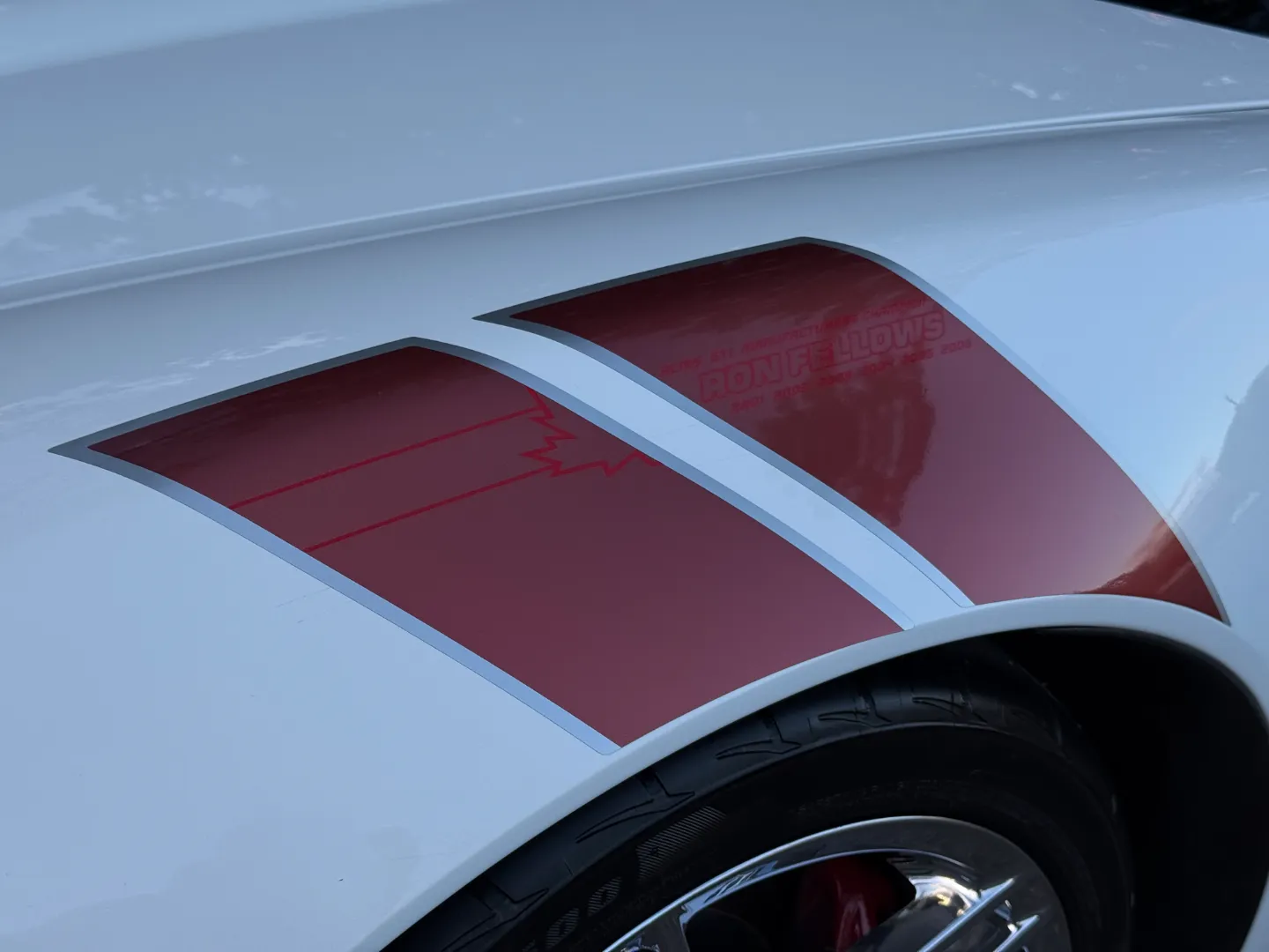 Chevrolet Corvette Z06 Ron Fellows Championship Edition 85/399 — photo 7