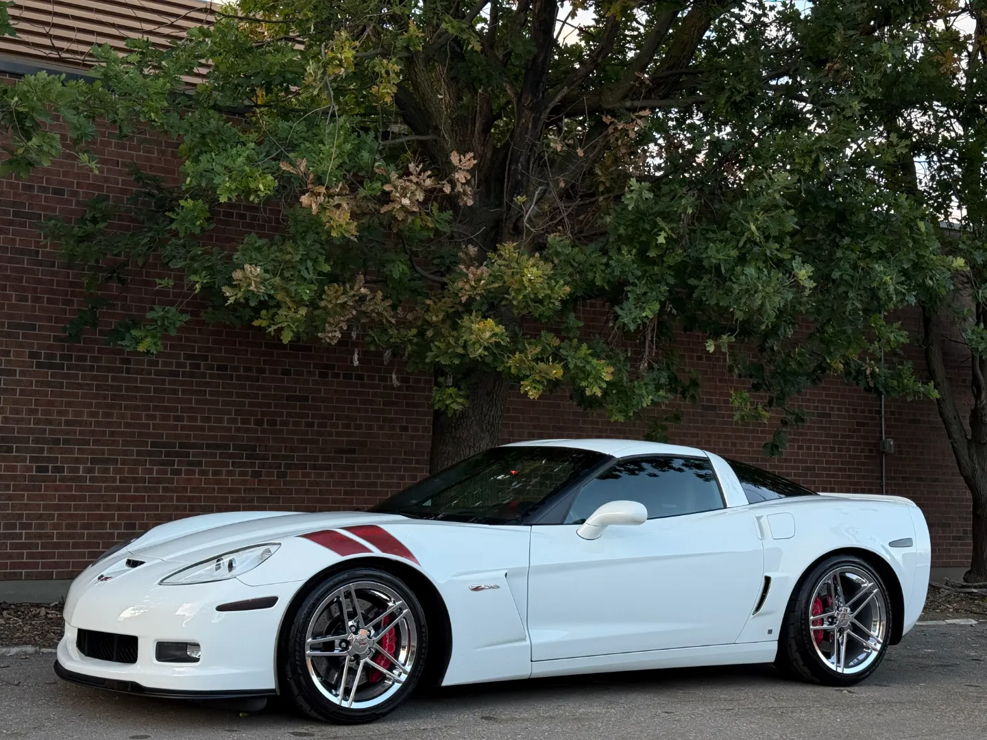 Chevrolet Corvette Z06 Ron Fellows Championship Edition 85/399 — photo 11