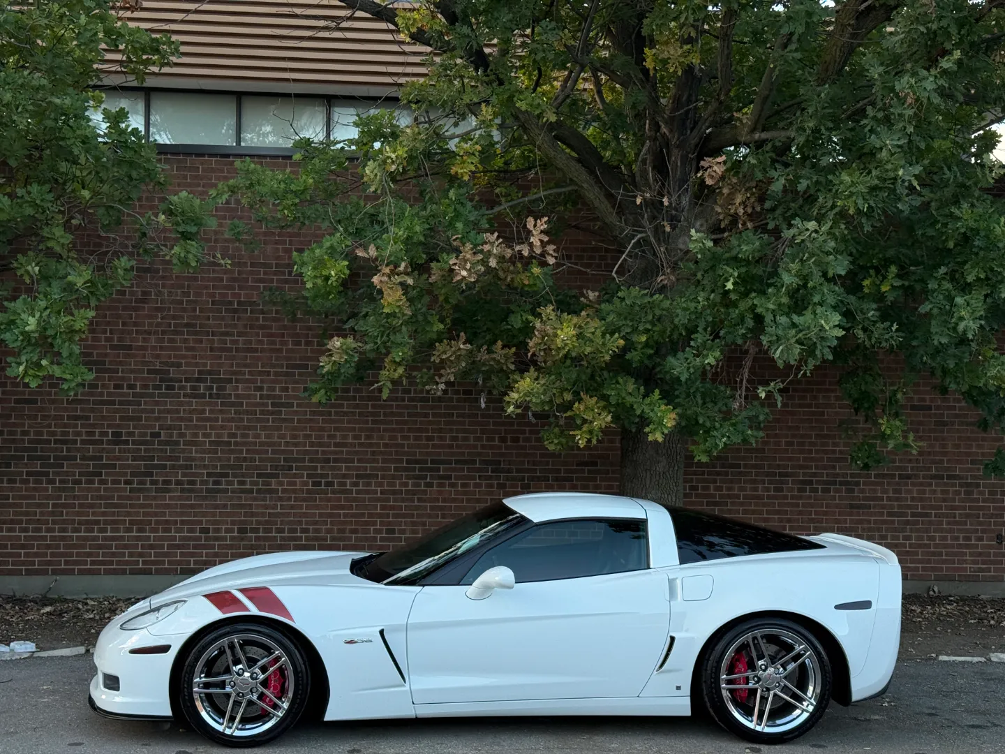 Chevrolet Corvette Z06 Ron Fellows Championship Edition 85/399 — photo 12