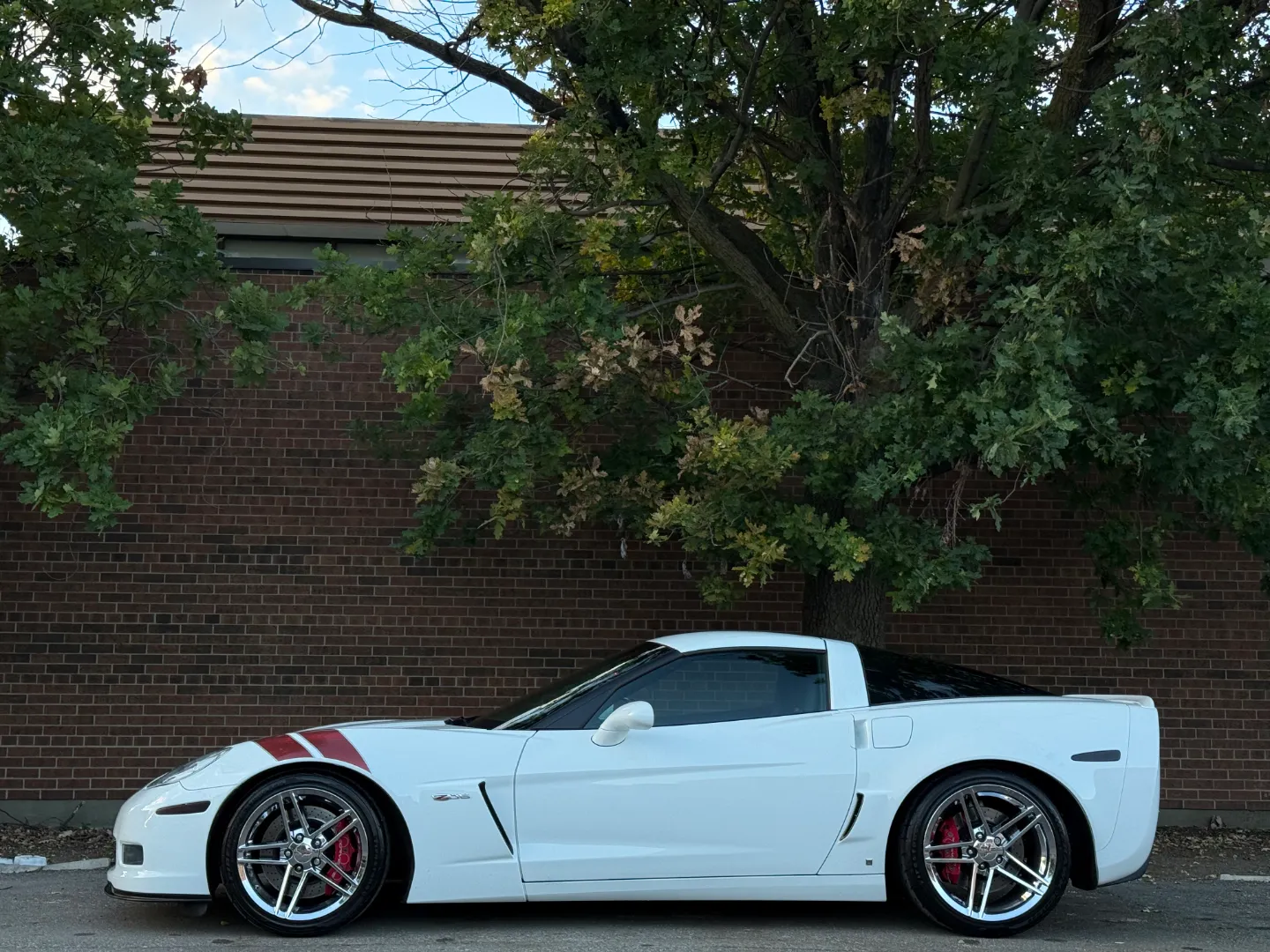 Chevrolet Corvette Z06 Ron Fellows Championship Edition 85/399 — photo 13