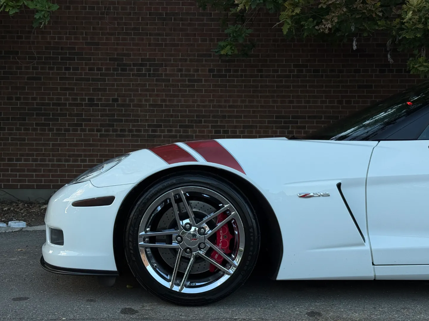 Chevrolet Corvette Z06 Ron Fellows Championship Edition 85/399 — photo 14