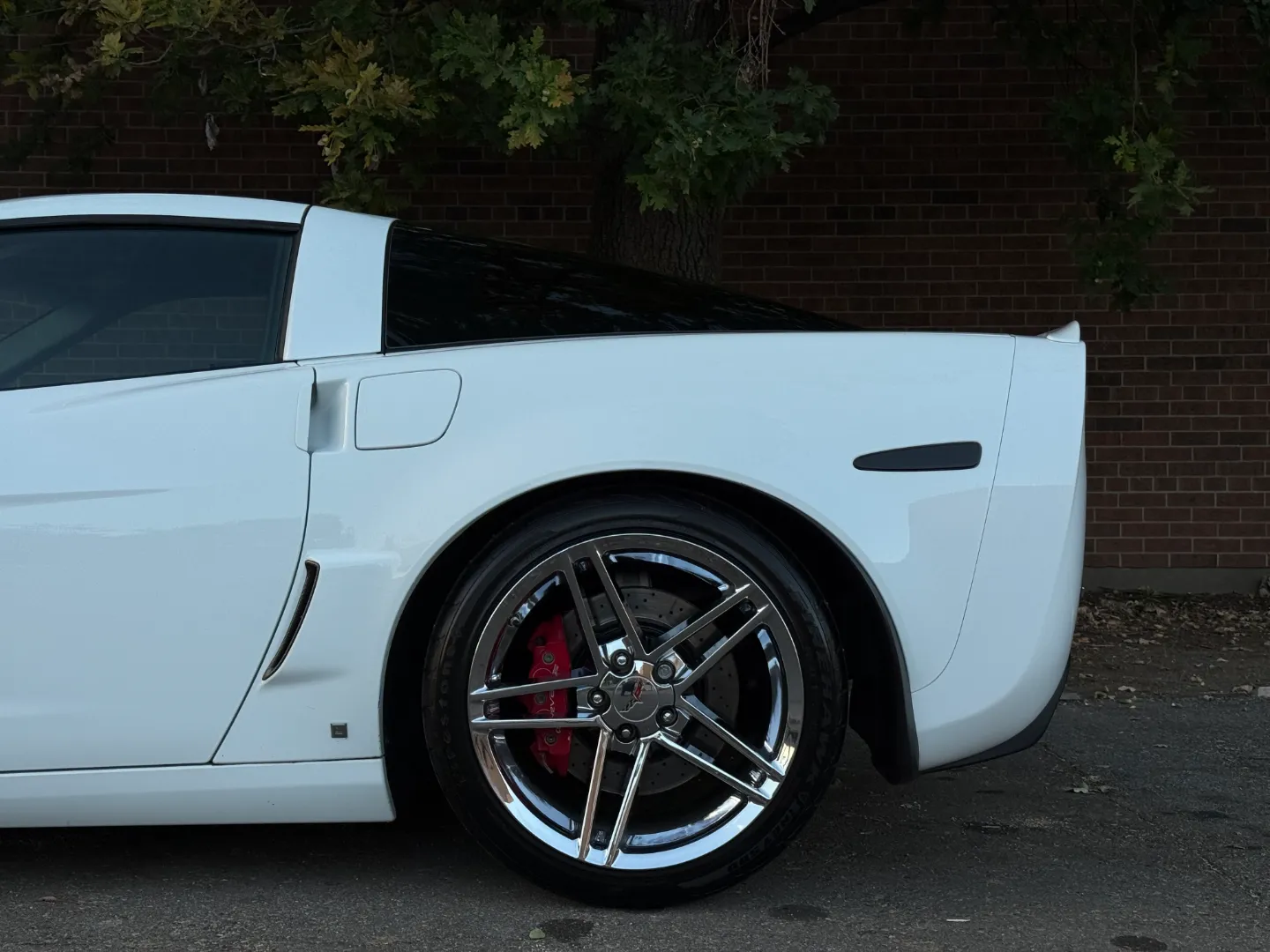 Chevrolet Corvette Z06 Ron Fellows Championship Edition 85/399 — photo 15