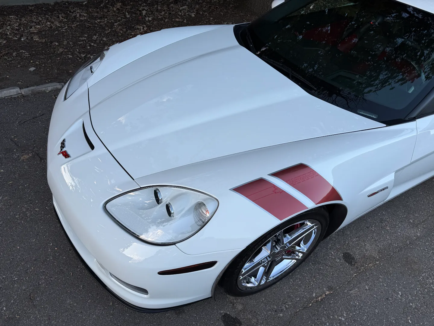 Chevrolet Corvette Z06 Ron Fellows Championship Edition 85/399 — photo 19