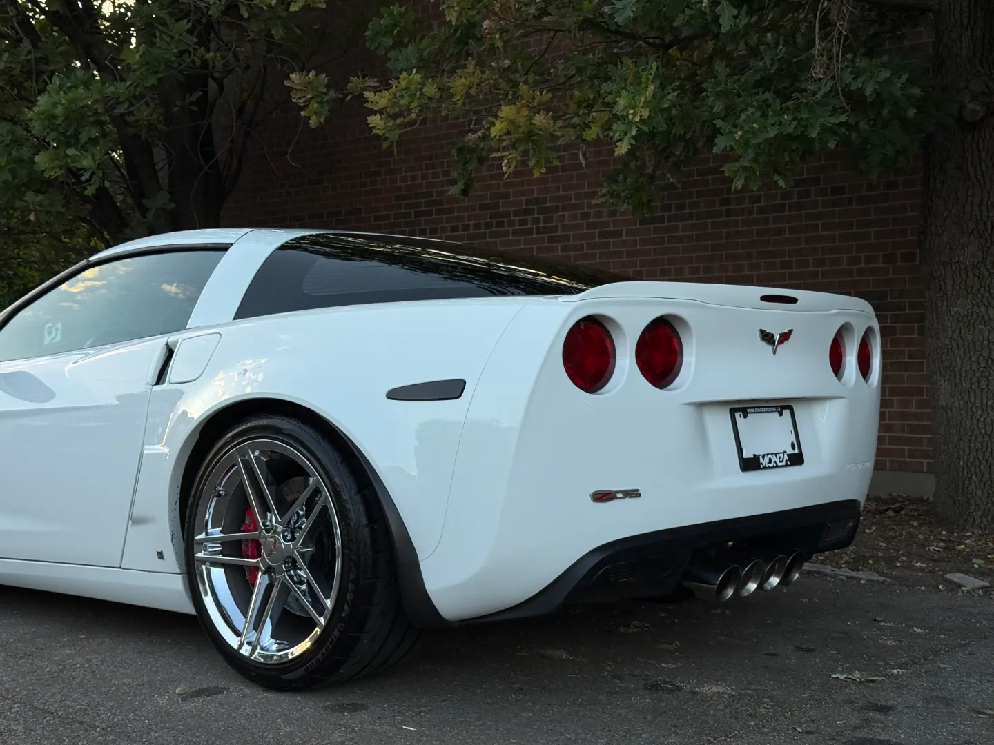 Chevrolet Corvette Z06 Ron Fellows Championship Edition 85/399 — photo 26