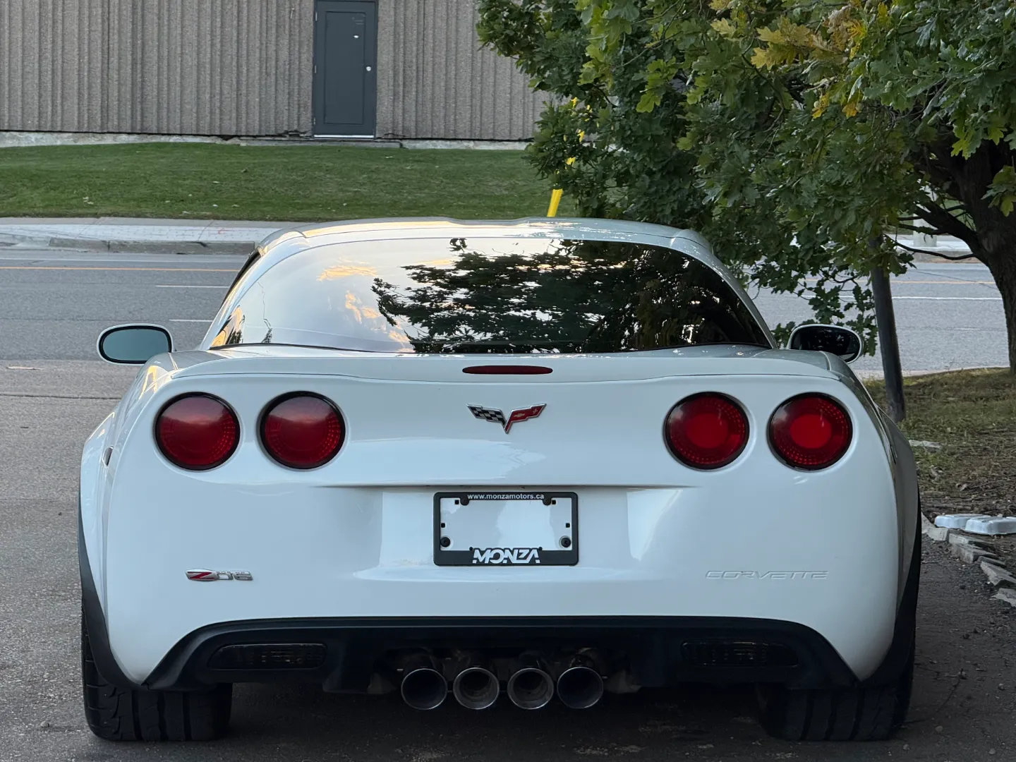 Chevrolet Corvette Z06 Ron Fellows Championship Edition 85/399 — photo 27