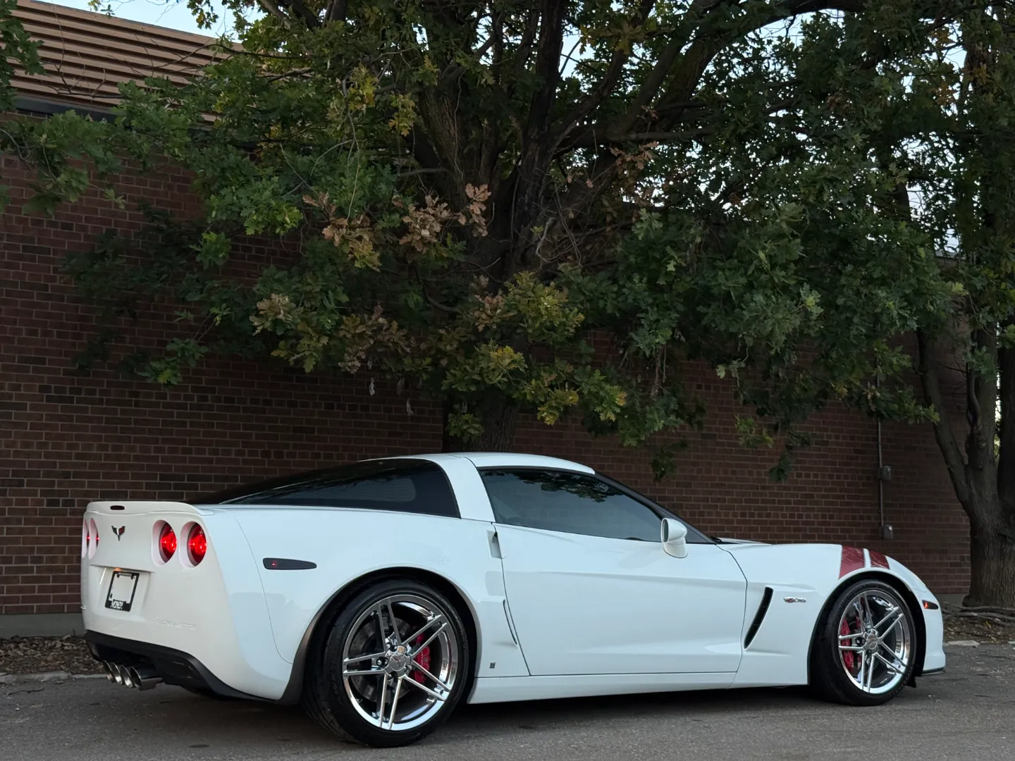 Chevrolet Corvette Z06 Ron Fellows Championship Edition 85/399 — photo 74