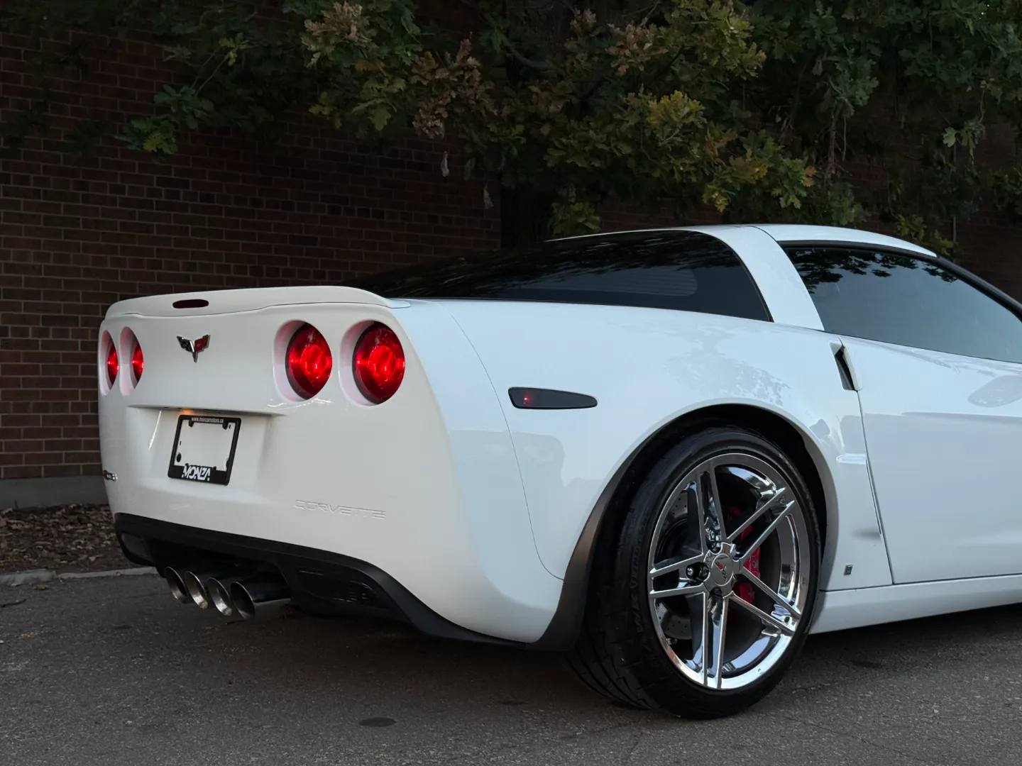 Chevrolet Corvette Z06 Ron Fellows Championship Edition 85/399 — photo 75