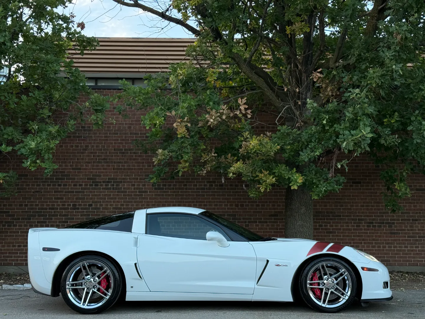 Chevrolet Corvette Z06 Ron Fellows Championship Edition 85/399 — photo 76