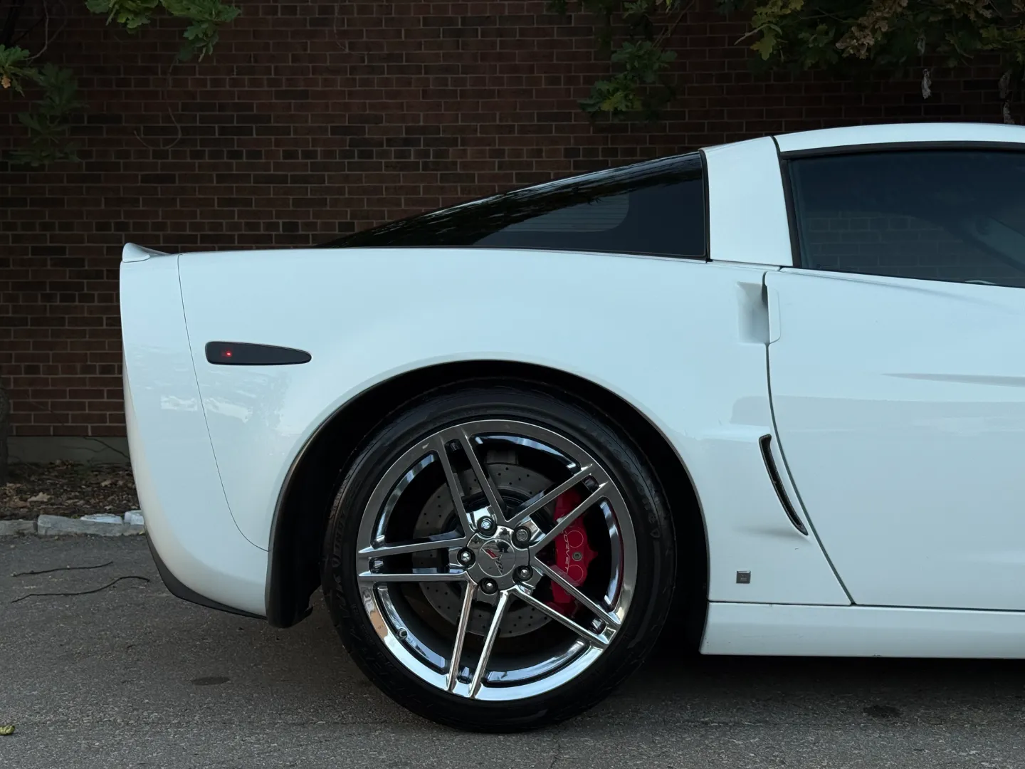 Chevrolet Corvette Z06 Ron Fellows Championship Edition 85/399 — photo 77