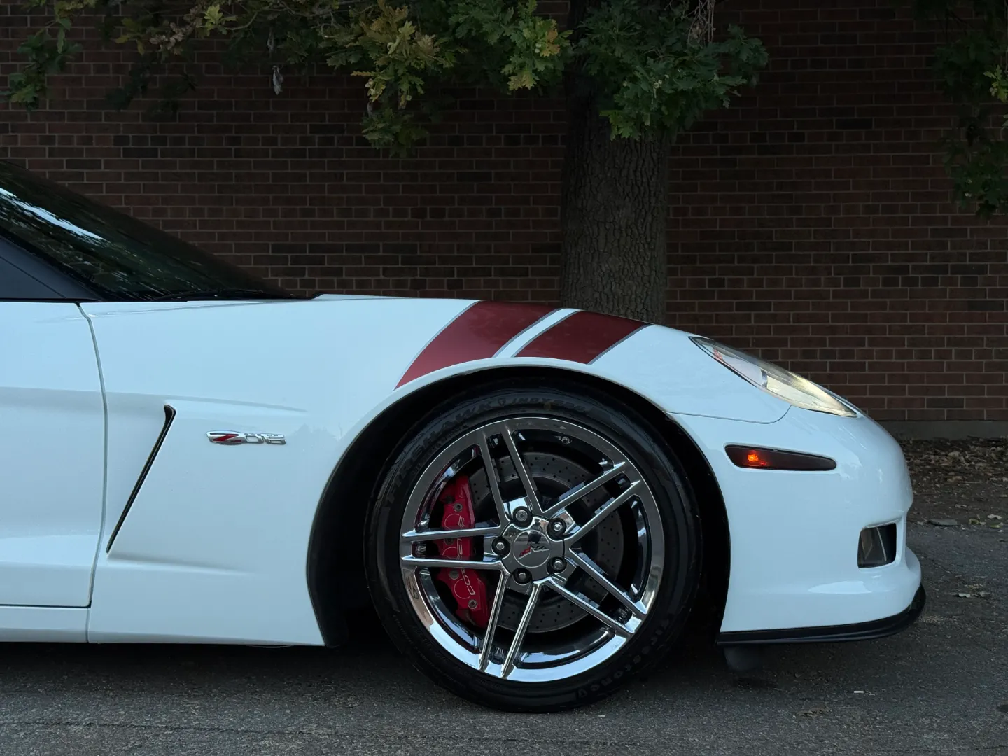 Chevrolet Corvette Z06 Ron Fellows Championship Edition 85/399 — photo 78