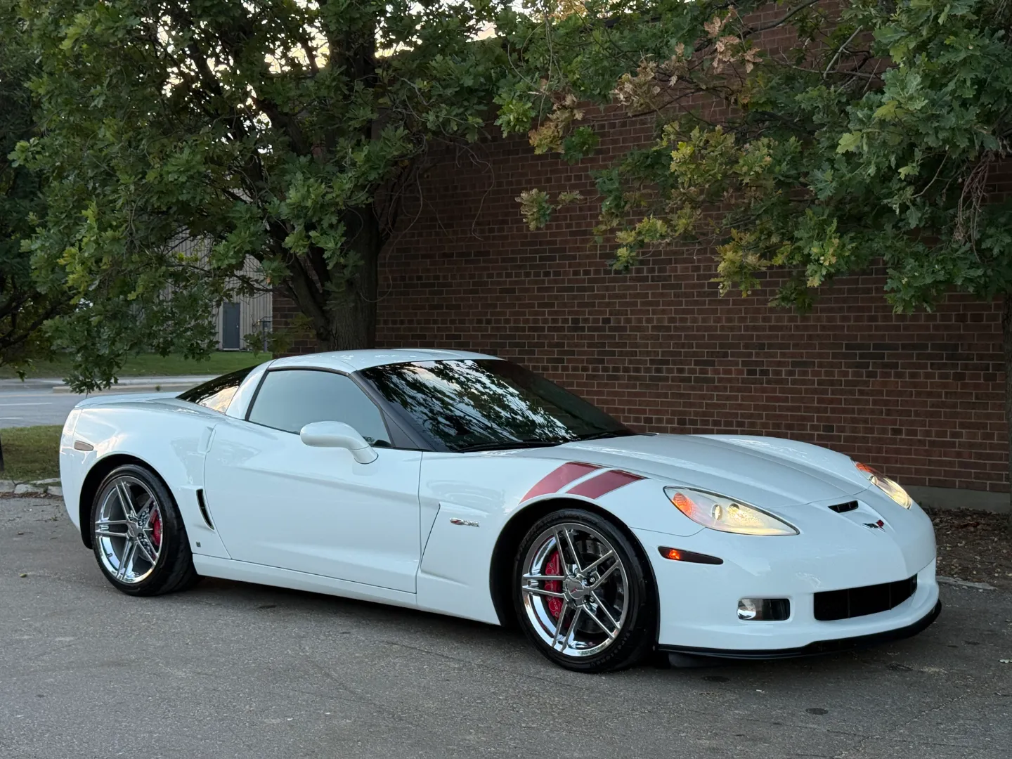 Chevrolet Corvette Z06 Ron Fellows Championship Edition 85/399 — photo 79